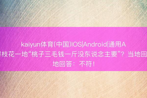 kaiyun体育(中国)IOS|Android|通用APP下载 攀枝花一地“桃子三毛钱一斤没东说念主要”？当地回答：不符！