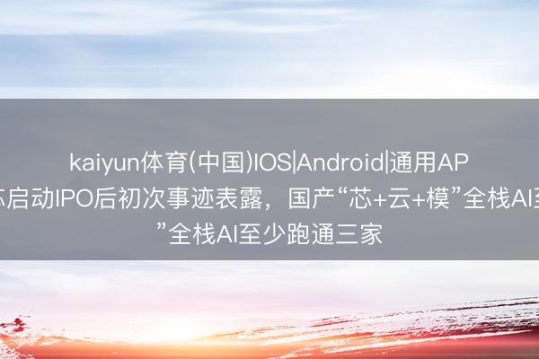 kaiyun体育(中国)IOS|Android|通用APP下载 昆仑芯启动IPO后初次事迹表露，国产“芯+云+模”全栈AI至少跑通三家