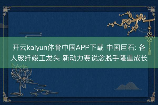 开云kaiyun体育中国APP下载 中国巨石: 各人玻纤竣工龙头 新动力赛说念脱手隆重成长