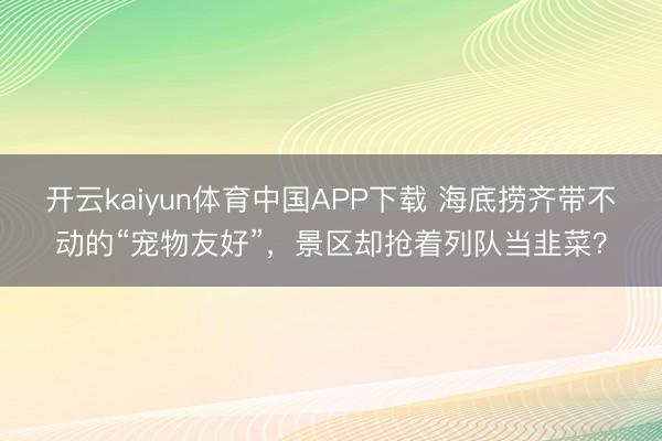 开云kaiyun体育中国APP下载 海底捞齐带不动的“宠物友好”，景区却抢着列队当韭菜？