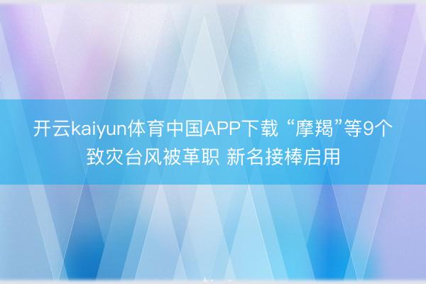 开云kaiyun体育中国APP下载 “摩羯”等9个致灾台风被革职 新名接棒启用