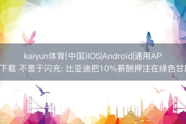 kaiyun体育(中国)IOS|Android|通用APP下载 不啻于闪充: 比亚迪把10%薪酬押注在绿色甘愿