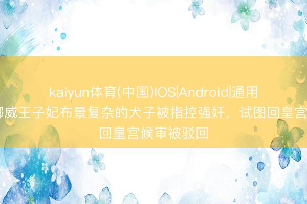 kaiyun体育(中国)IOS|Android|通用APP下载 挪威王子妃布景复杂的犬子被指控强奸，试图回皇宫候审被驳回