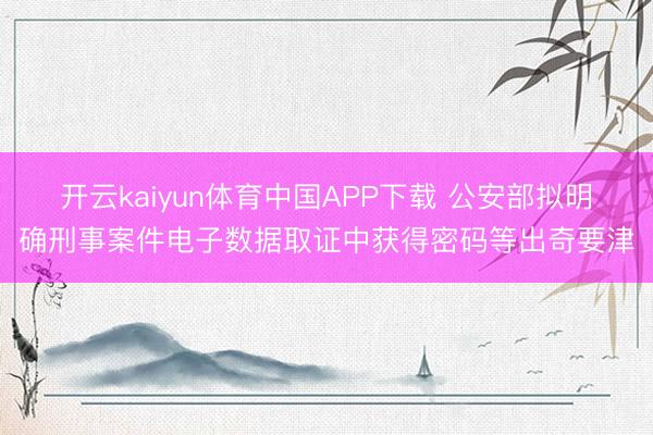 开云kaiyun体育中国APP下载 公安部拟明确刑事案件电子数据取证中获得密码等出奇要津